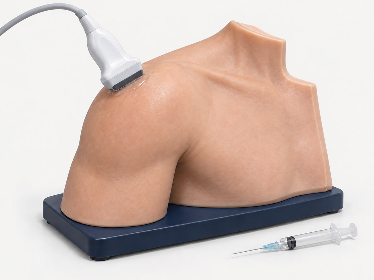 Illustration of a shoulder injection training model with an ultrasound probe and a syringe resting alongside.